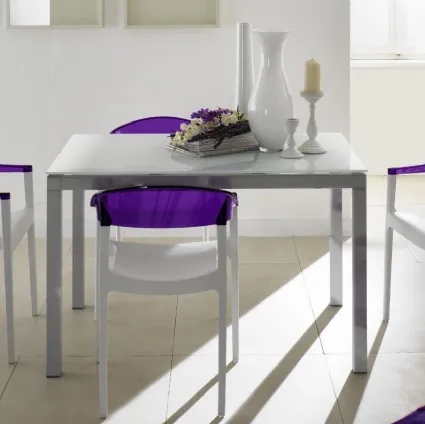 Sedia in plastica bicolore Milly di Eurosedia