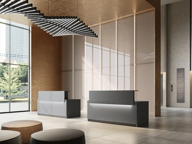 Reception Class 03 di Colombini Office